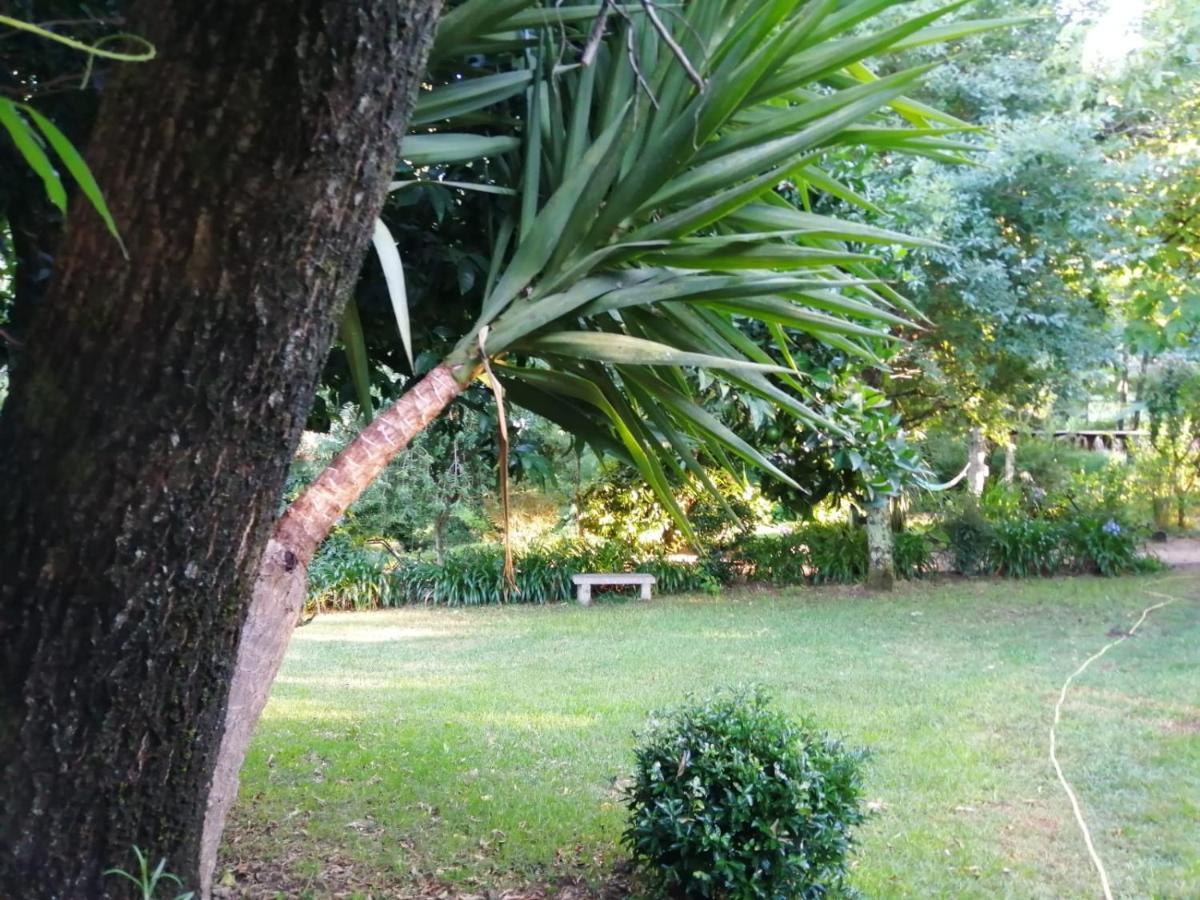 Casina Os Lueiro Villa Portas Luaran gambar